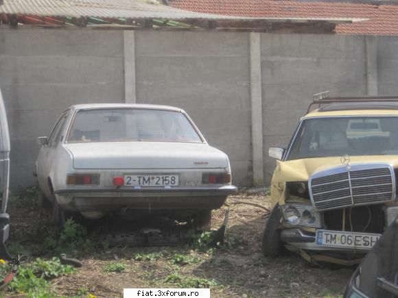 Frumuseti surprinse in trafic - si acest rekord e de vanzare cu 800 de euroi si - Classic corner
