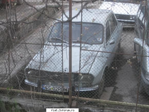 Frumuseti surprinse in trafic - inca o dacie 1300 cu stema mare, gasita ieri - Classic corner
