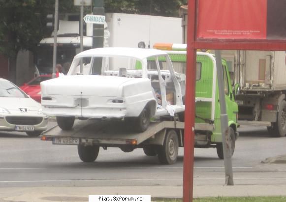 Frumuseti surprinse in trafic - coada de randunica cred adusa de la vopsit - Classic corner