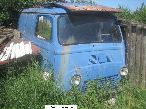 Frumuseti surprinse in trafic - yokomy - Classic corner