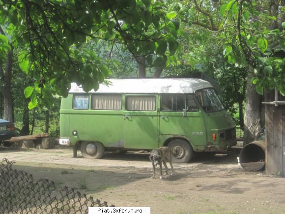 Frumuseti surprinse in trafic - microbus mercedes - Classic corner