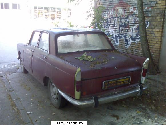 Frumuseti surprinse in trafic - Pe foaia din geam scrie ca este in evidenta R.A.R - Classic corner