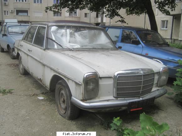 Frumuseti surprinse in trafic - bot de cal amarat si necajit :( - Classic corner