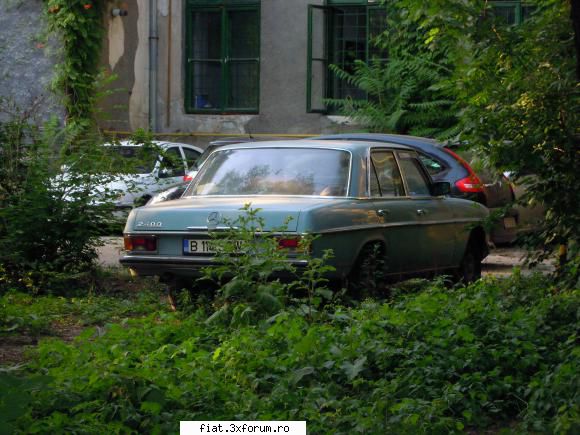 Frumuseti surprinse in trafic - Pe soseaua Panduri, langa Cotroceni - Classic corner