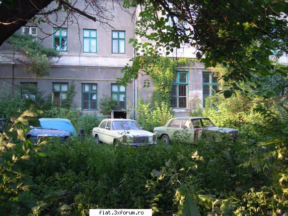 Frumuseti surprinse in trafic - Nu pareau a fi intr-o stare rea - Classic corner