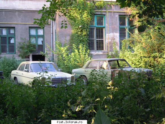 Frumuseti surprinse in trafic - Cel alb arata chiar bine - Classic corner