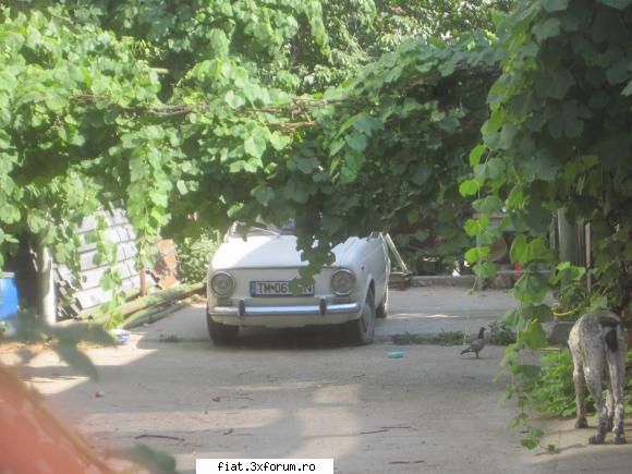 Frumuseti surprinse in trafic - un ficatel 850 mai hidden - Classic corner