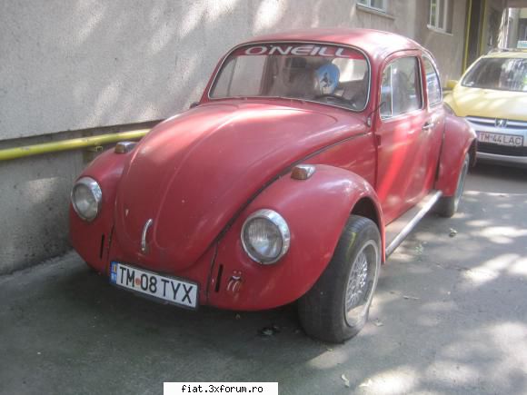 Frumuseti surprinse in trafic - broasca in acea zona sunt 5 broaste si 2 rechinasi - Classic corner