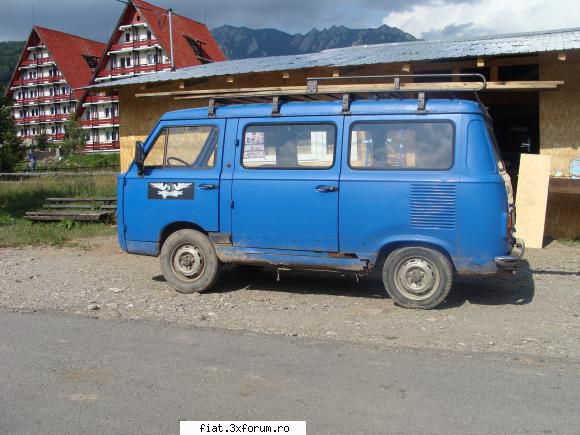 Frumuseti surprinse in trafic - La lidl din Baicului. Nu era abandonata sau ceva - Classic corner