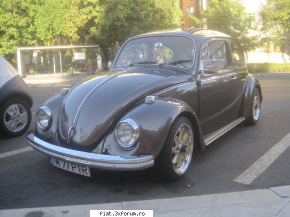Frumuseti surprinse in trafic - broasca foarte faina, tot pe acolo :) - Classic corner