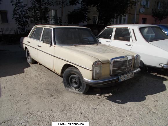 Frumuseti surprinse in trafic - bot de cal tot prin zona, neglijat si el :( :( - Classic corner