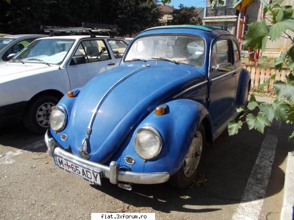 Frumuseti surprinse in trafic - yokomy - Classic corner