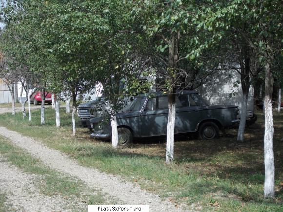 Frumuseti surprinse in trafic - yokomy - Classic corner
