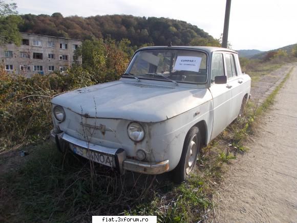 Frumuseti surprinse in trafic - pentru claudiu amza, am pus astazi biletul la - Classic corner