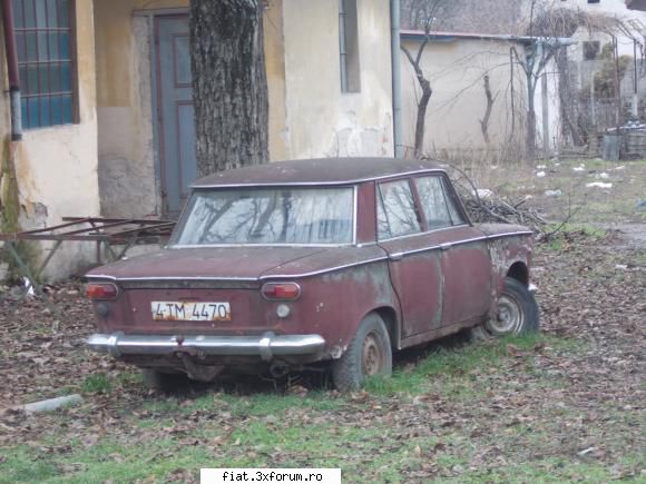 Frumuseti surprinse in trafic - o bunicuta parasita - Classic corner