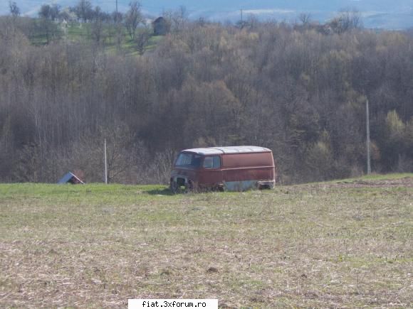 Frumuseti surprinse in trafic - renault estafette - Classic corner