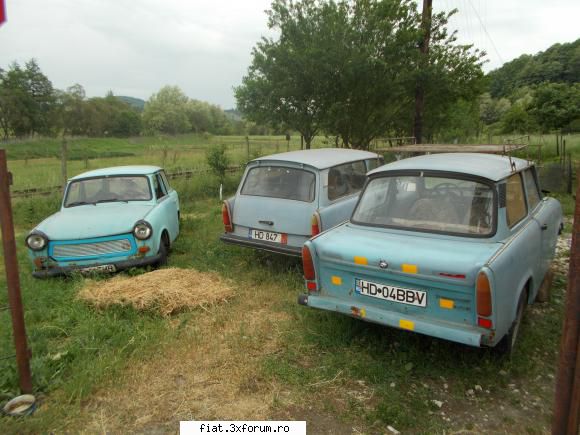 Frumuseti surprinse in trafic - yokomy - Classic corner
