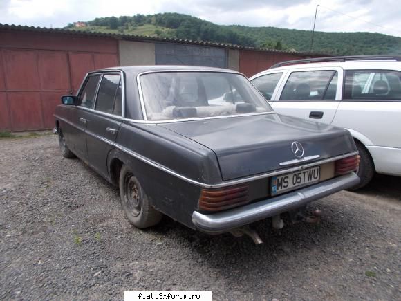 Frumuseti surprinse in trafic - yokomy - Classic corner