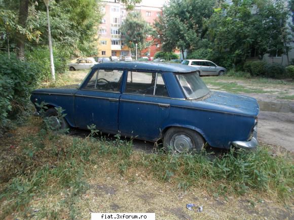Frumuseti surprinse in trafic - yokomy - Classic corner
