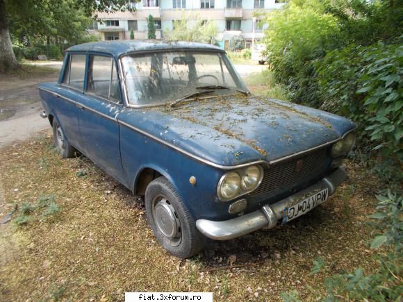 Frumuseti surprinse in trafic - yokomy - Classic corner