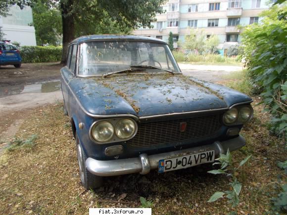 Frumuseti surprinse in trafic - yokomy - Classic corner