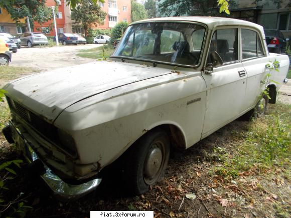 Frumuseti surprinse in trafic - yokomy - Classic corner
