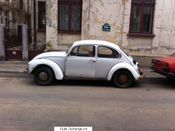 Frumuseti surprinse in trafic - Una broscuta trista si abandonata - Classic corner