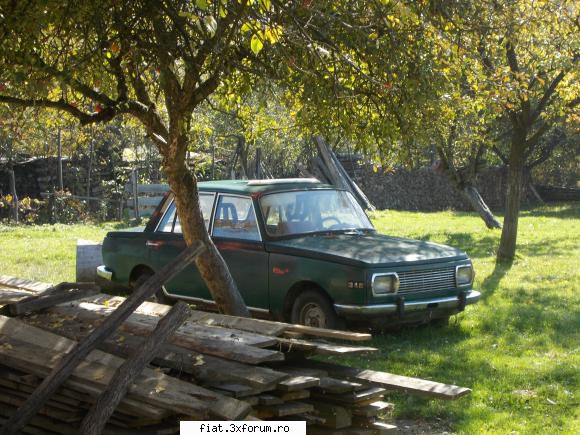 Frumuseti surprinse in trafic - yokomy - Classic corner