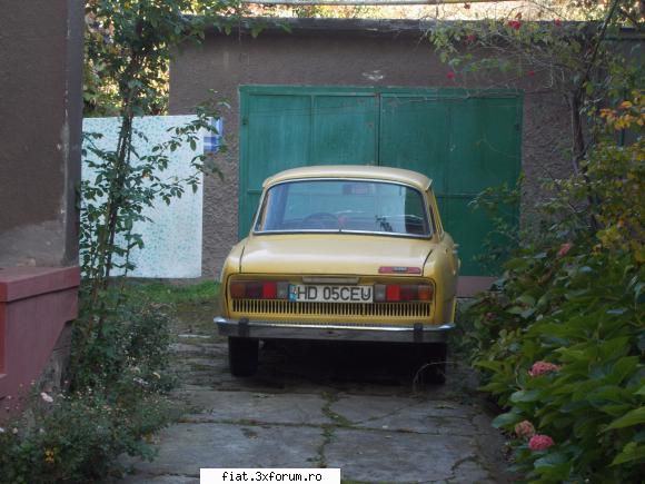 Frumuseti surprinse in trafic - yokomy - Classic corner