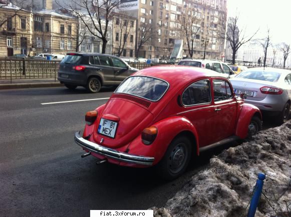 Frumuseti surprinse in trafic - O broscuta simpatica - Classic corner
