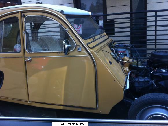 Frumuseti surprinse in trafic - Cristi7 - Classic corner