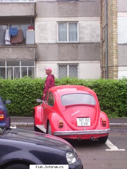 Frumuseti surprinse in trafic - Broscuta frumoasa - Classic corner