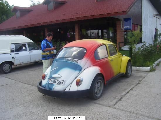 Frumuseti surprinse in trafic - Broscuta bricloata, la 2000 Euro:x - Classic corner