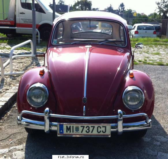 Frumuseti surprinse in trafic - O broscuta faina ! - Classic corner