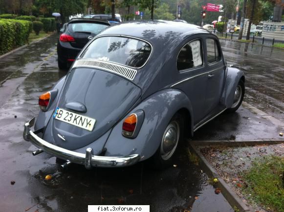 Frumuseti surprinse in trafic - Cristi7 - Classic corner