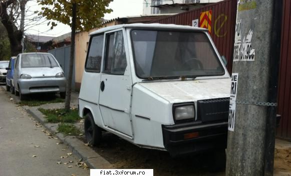 Frumuseti surprinse in trafic - O buburuza simpatica si f rară pe la noi - Classic corner