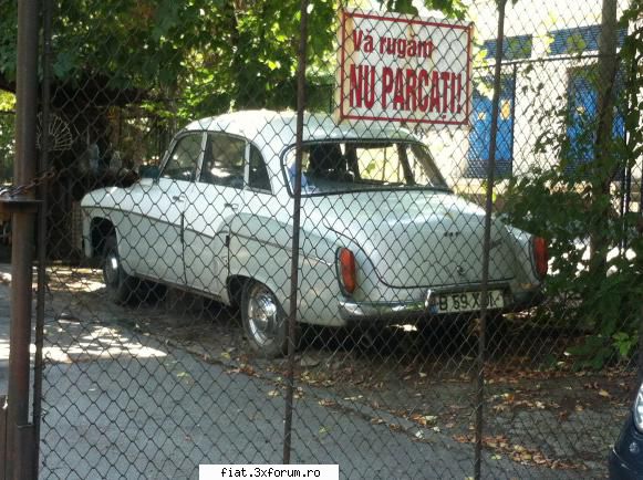 Frumuseti surprinse in trafic - Cristi7 - Classic corner