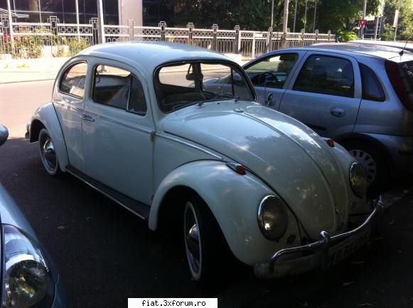 Frumuseti surprinse in trafic - Cristi7 - Classic corner