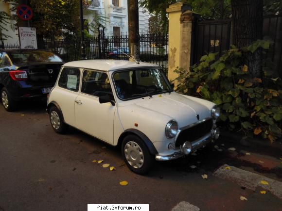 Frumuseti surprinse in trafic - mihai29 - Classic corner