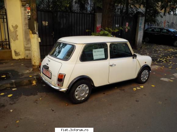 Frumuseti surprinse in trafic - mihai29 - Classic corner