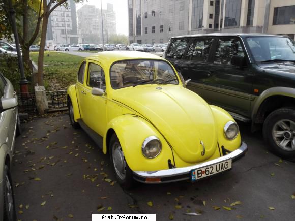 Frumuseti surprinse in trafic - VW 1200 broasca - Classic corner