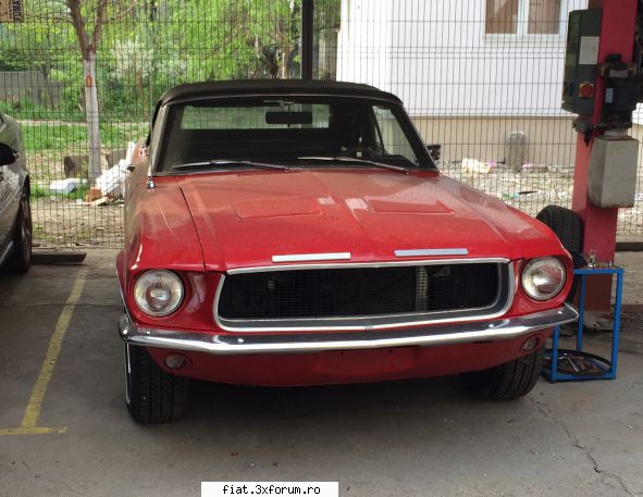 Frumuseti surprinse in trafic - Una bucata Ford Mustang - Classic corner
