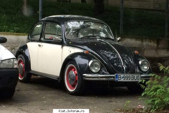 Frumuseti surprinse in trafic - Si una bucata broscuța! - Classic corner
