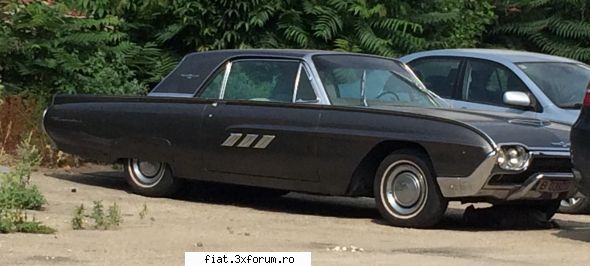 Frumuseti surprinse in trafic - Cristi7 - Classic corner
