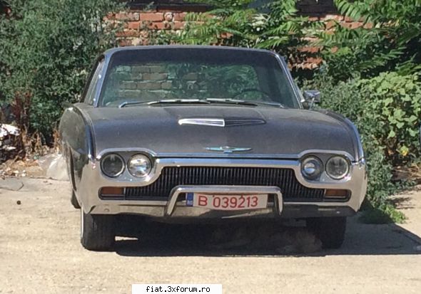 Frumuseti surprinse in trafic - Cristi7 - Classic corner