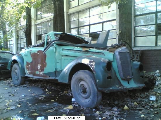 Frumuseti surprinse in trafic - nu e in trafic dar ma gandeam ca poate o sti - Classic corner