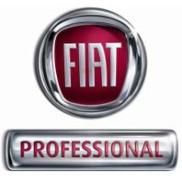 Istoria insignelor Fiat - pe unele modele putem observa expresia - Classic corner