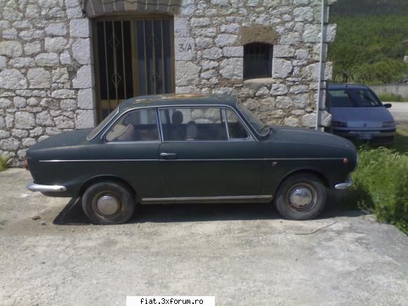Italiene - Tavi - Bursa