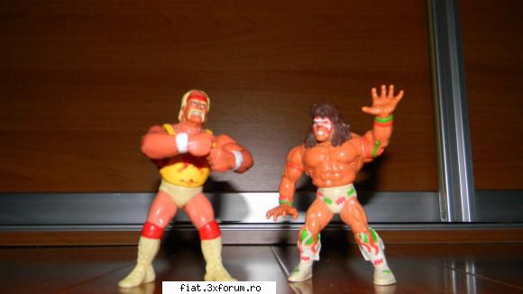 Jucarii Tabla sau Plastic (RO, DDR, USSR, Japonia, China) - figurine TITAN SPORTS INC lei - Classic corner