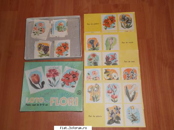 Jucarii Tabla sau Plastic (RO, DDR, USSR, Japonia, China) - NU ESTE DE VANZARE! JOC VECHI - Classic corner